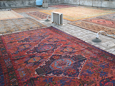 Mollaianruga Lavaggio Tappetti (washing and cleaning rugs)