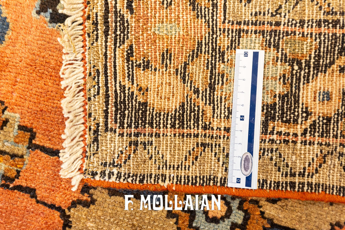 Lilian Rug Persian n°:36877355