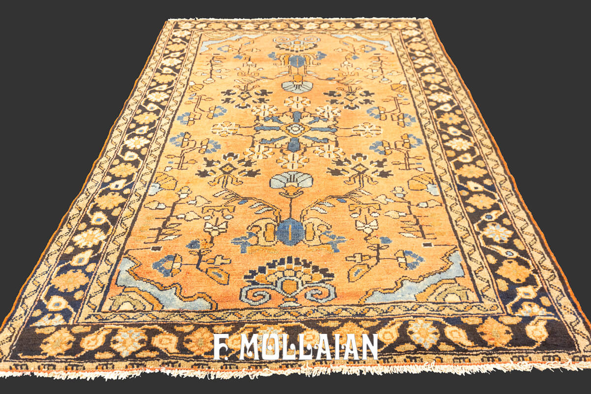 Lilian Rug Persian n°:36877355