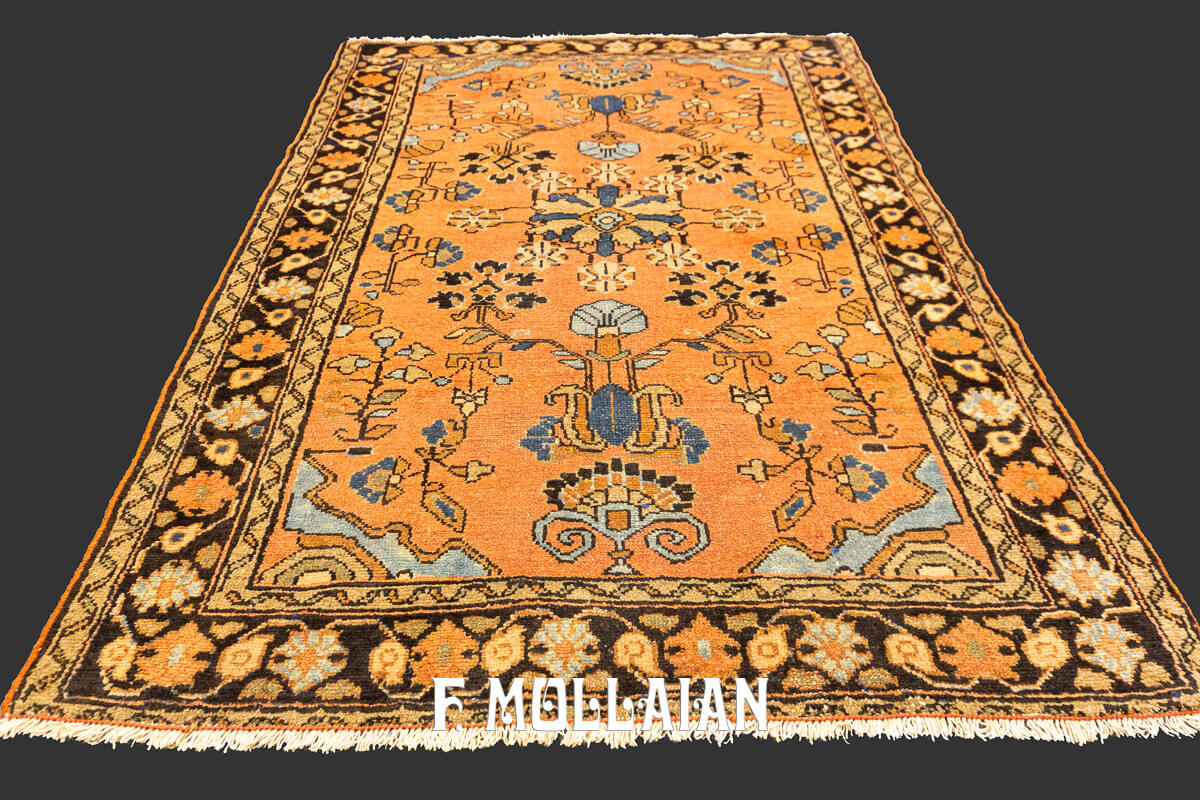 Lilian Rug Persian n°:36877355
