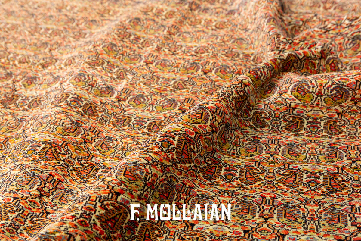 Farahan Rug All-over Bothe Design n°:746826