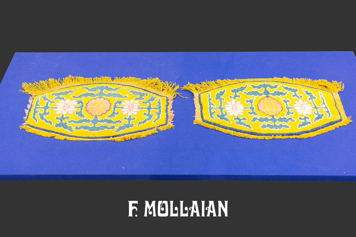 Rare Rug Pair Kashghar Silk n°:254579-372876