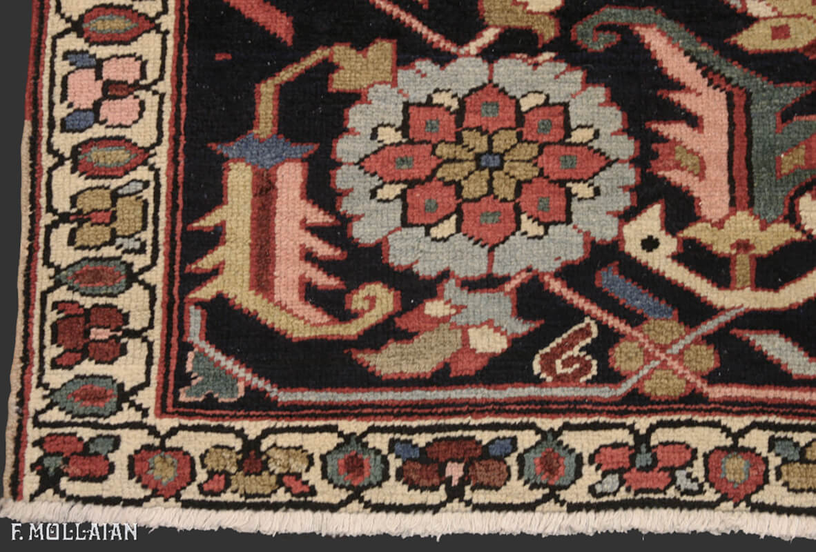 Гериз Серапи n:25520200