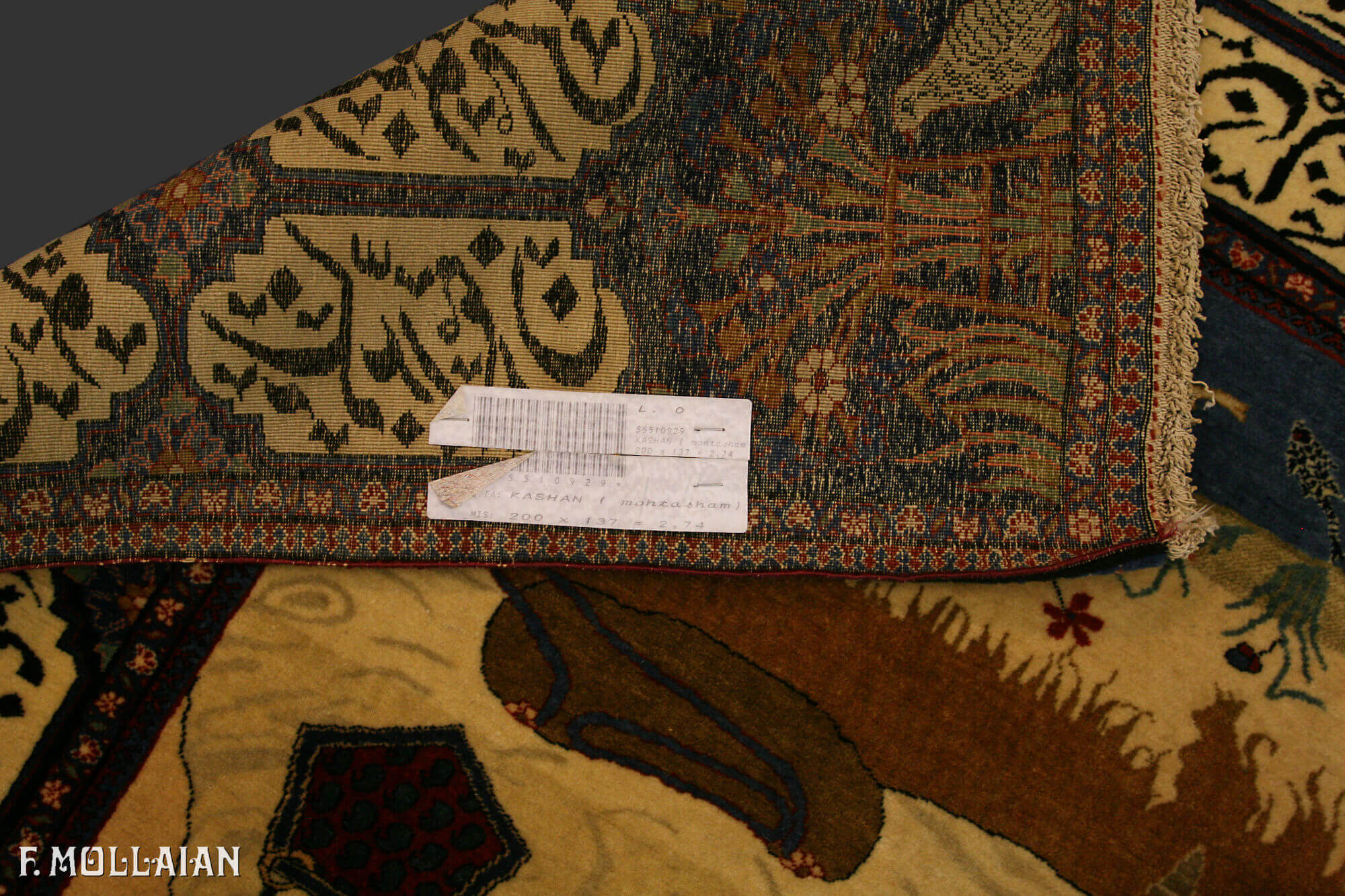 卡尚 Mohtasham n:55510929